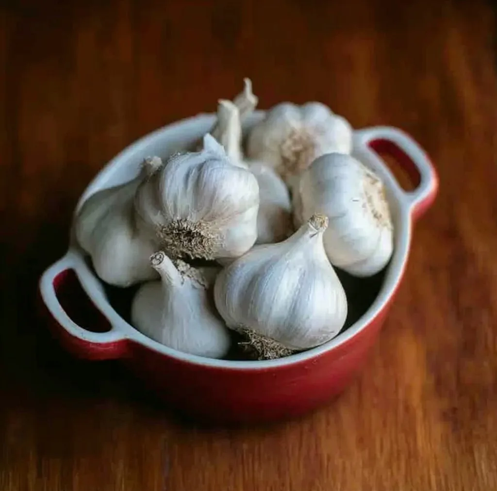 Bowl of whole fresh garlic bulbs in a red ceramic dish, ready to be used for pickled garlic.