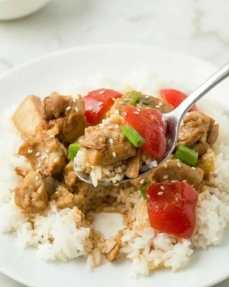Close-up spoonful of sweet Hawaiian crock pot chicken with rice, pineapple chunks, green onions, and sesame seeds