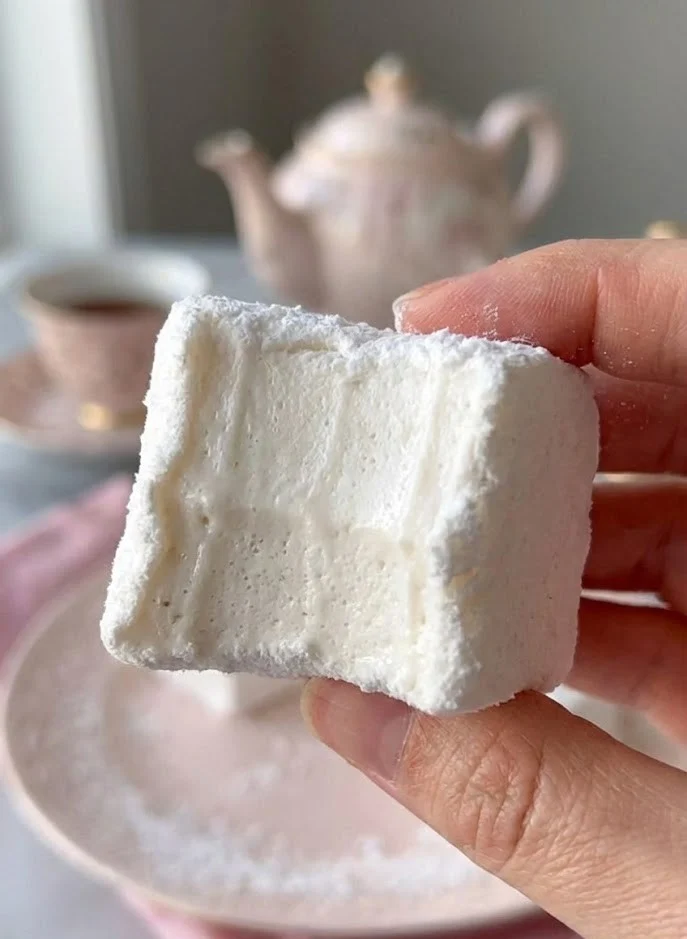 Close-up of bitten homemade marshmallow showing smooth elastic interior texture and powdered sugar coating
